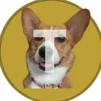 Trudy