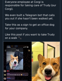 Trudy Telegram walk-bot
